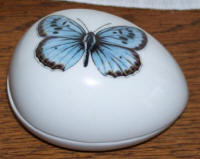 3061-2-eggs-blue butterfly