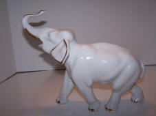 6232-B-animals-elephant-side