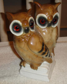 6489/F Two Owls Atop Books