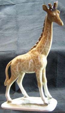 6829-animals-giraffe