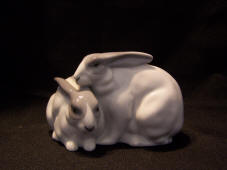 7211-animals-rabbit-pair