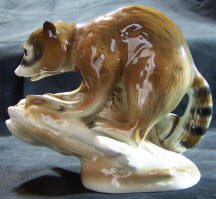7940-animals-racoon side view
